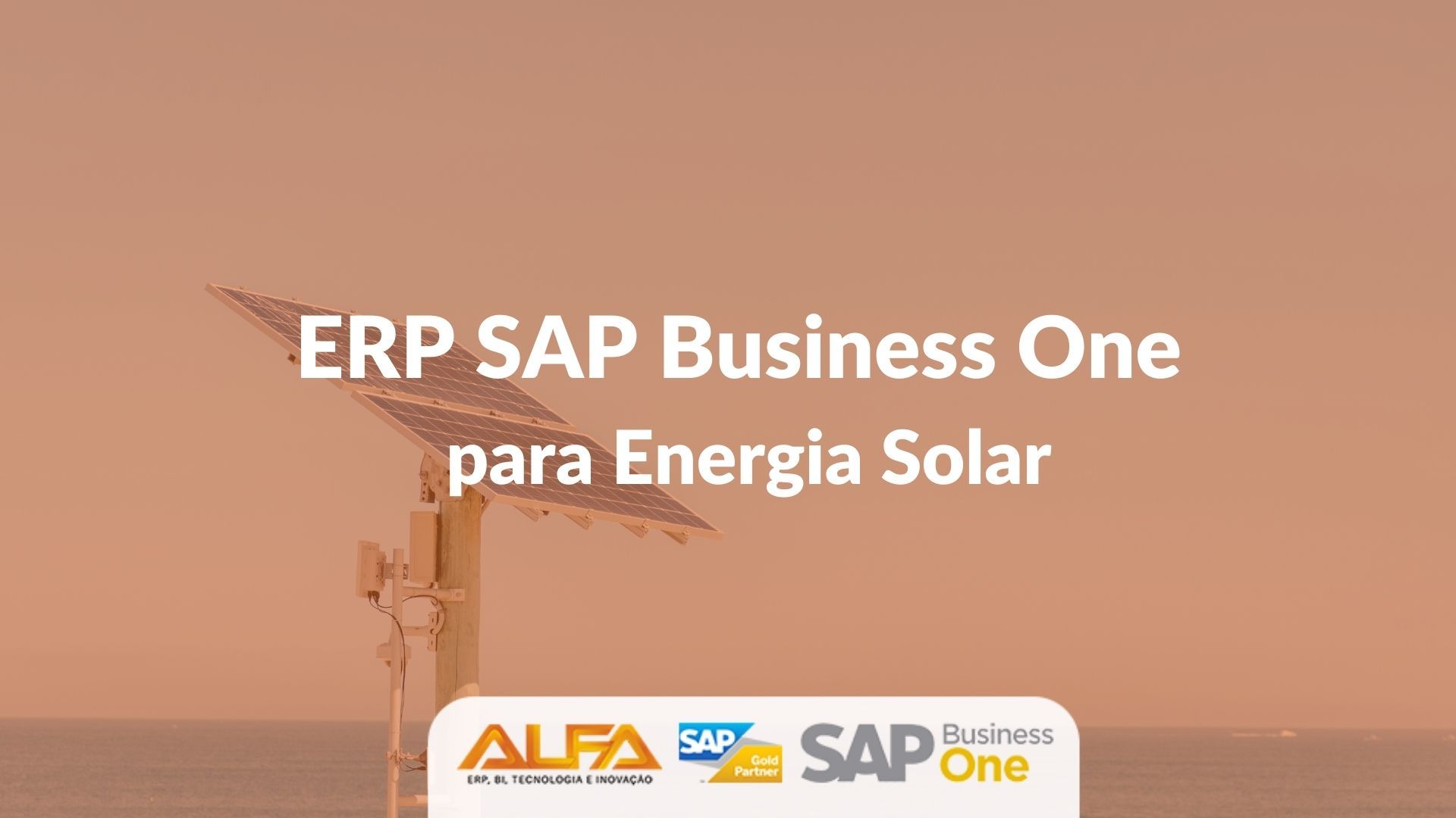ERP SAP Business One para Energia Solar ERP SAP Business One para Energia Solar
