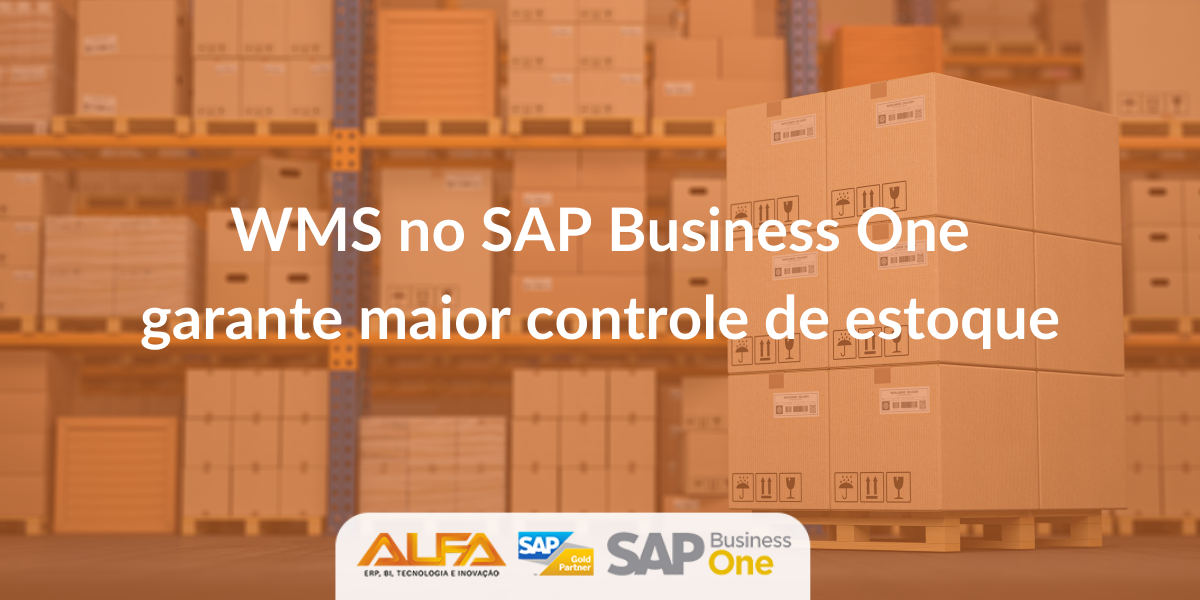 WMS no SAP Business One garante maior controle de estoque